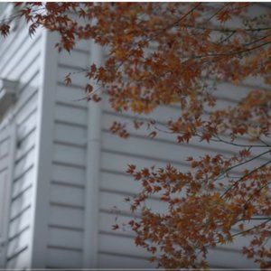 Meet your Posher, Sameen